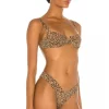 Indah Midori Bikini Top In Jaguar -Cheap Indah Store INDA WX719 V2